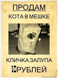 №2, Тимур Гамбаров, Красноярск, Россия №2, Тимур Гамбаров, Красноярск, Россия
