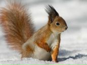 Фотография Бондаревой Алевтины