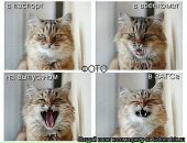 Фотография Солдатова Ильи