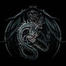 Фотография Чернонога Александра