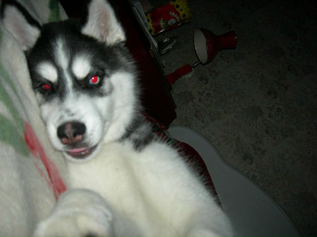 Денис Линник фотография #44