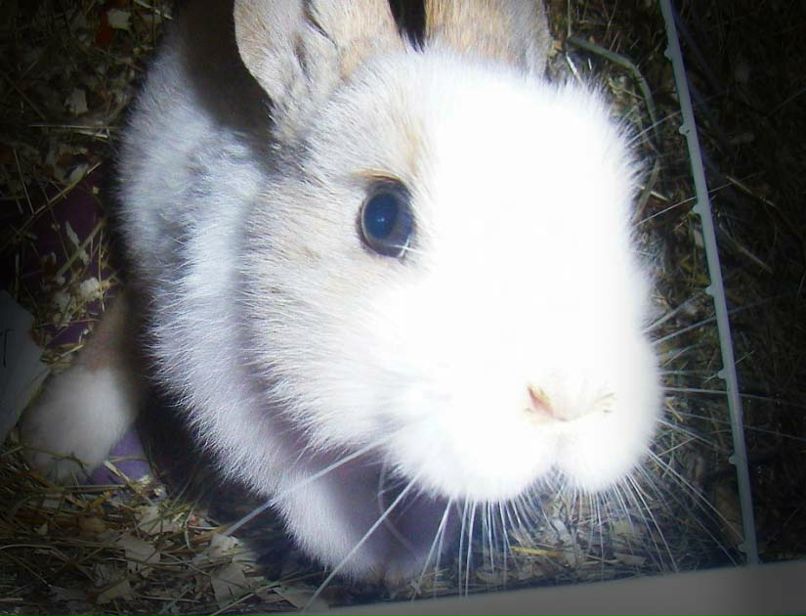 Daria Rogova фотография #12