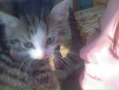 Фотография Богачевой Галеньки