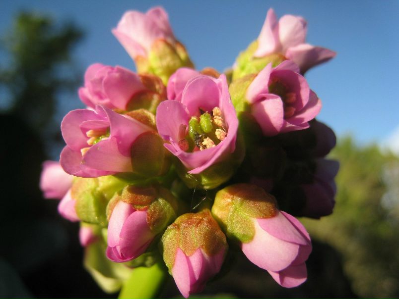 Yuri Bishaev фото №25
