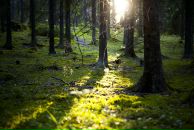 Дарья Горячева фотография #38 (источник - https://vk.com/id209705)