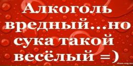 Сергій Стасюк фотография #49 (источник - https://vk.com/id124292463)