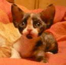 Фотография Оренбуркиной Елены