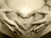 Фотография Васильев Алексей