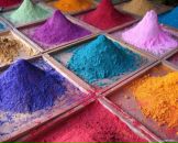 Фотография Литовченко Катерины