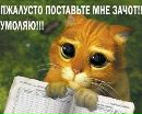 Фотография Федотовой Светланы