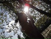 Пушистый Заяц^^ фотография #48 (источник - https://vk.com/id98527619)