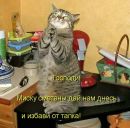 Сергій Богусевич фотография #39 (источник - https://vk.com/id63311509)