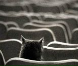 Фотография Алексеевны Дарьи