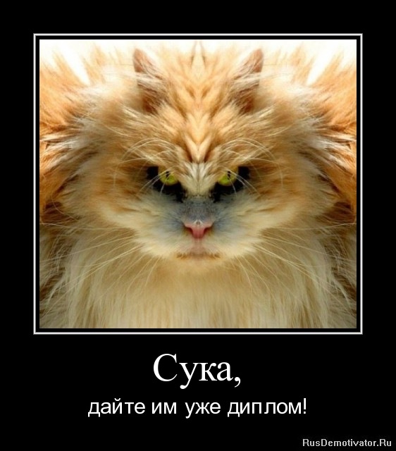 Сергей Сергеев фотография #16