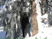 Міша Кость фотография #22 (источник - https://vk.com/id134940293)