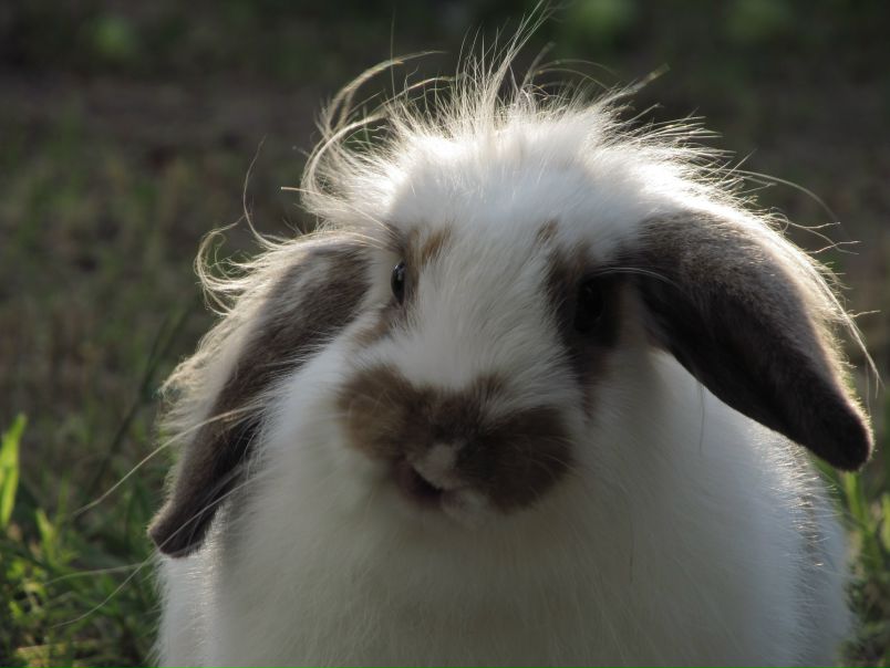 Valera Kovalenko фото №28