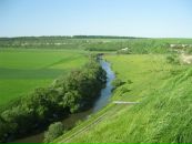 Міша Глушко фотография #29 (источник - https://vk.com/id136536157)