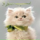 Діана Приставська фотография #49 (источник - https://vk.com/id137643663)