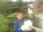 Фотография  