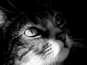 Фотография Басиной Ирины