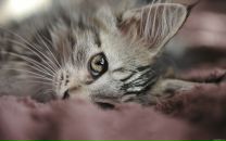 Фотография Добрановой Полины