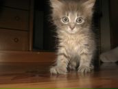 Юра Пєшков фотография #25 (источник - https://vk.com/id98355456)