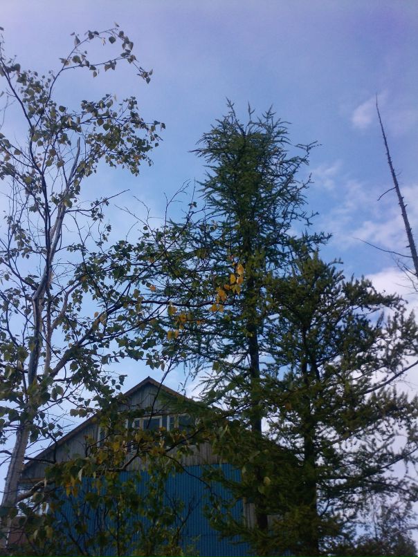 Иван Черников фотография #40