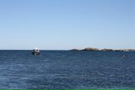 Sofija Kokina фотография #27 (источник - https://vk.com/id3973580)