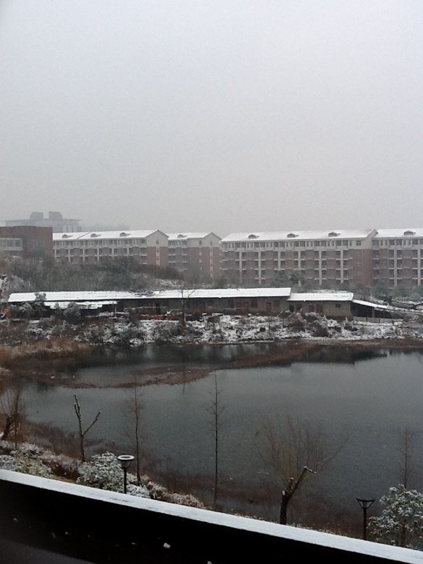 Leandro Graca фотография #30