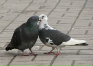 Каріна Верховська фотография #22 (источник - https://vk.com/id74880313)