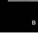 Андрій Фабін фотография #48 (источник - https://vk.com/id142788938)