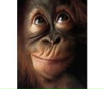 Фотография Колосова Александра