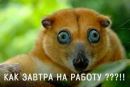 Андрій Тибулевич фотография #39 (источник - https://vk.com/id137768143)