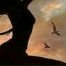 Владлєна Козачок фотография #12 (источник - https://vk.com/id98642620)