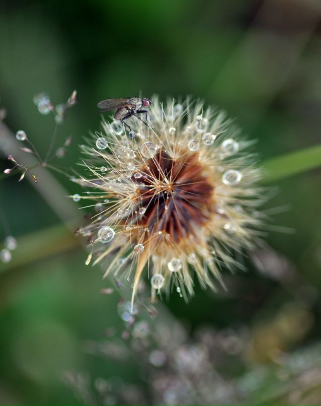Юля Бойко фотография #48