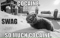 Андрій Брух фотография #31 (источник - https://vk.com/id13076413)