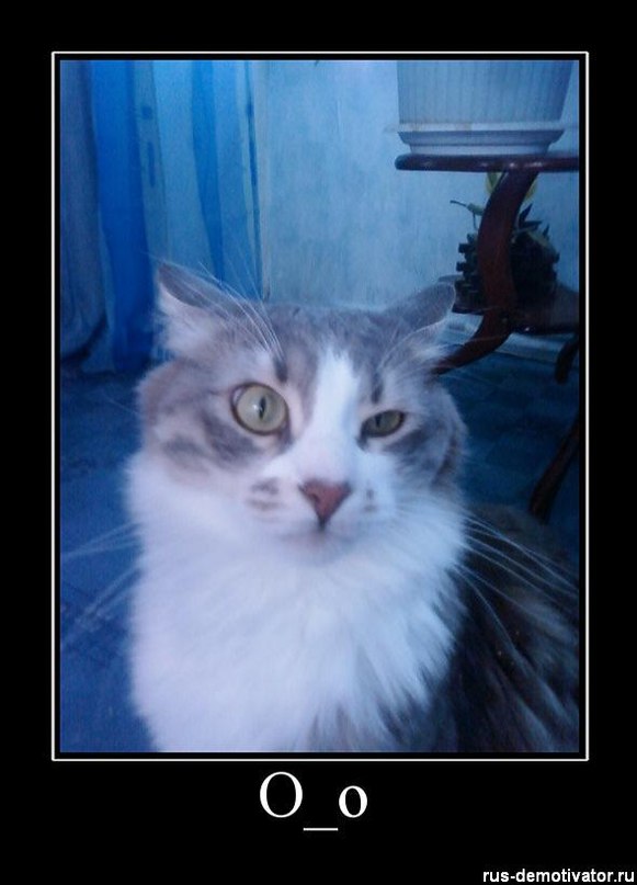 Дмитрий Сурин фотография #24