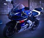 Фотография Barinova Ekaterina