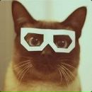 Фотография Беккер Стаси