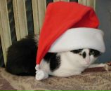 Фотография Кубовой Киры