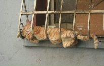 Борис Мичківський фотография #36 (источник - https://vk.com/id9196249)