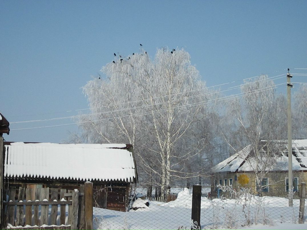 Дмитрий Козлов фотография #44