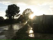 Фотография Ромашова Андрея