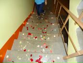 Дарья Быстрова фотография #33 (источник - https://vk.com/id5339133)