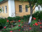 Дмитрий Царев фотография #43 (источник - https://vk.com/id2889691)