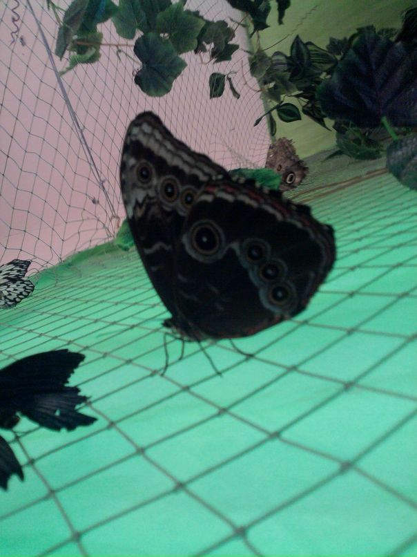 Катя Клименко фотография #15