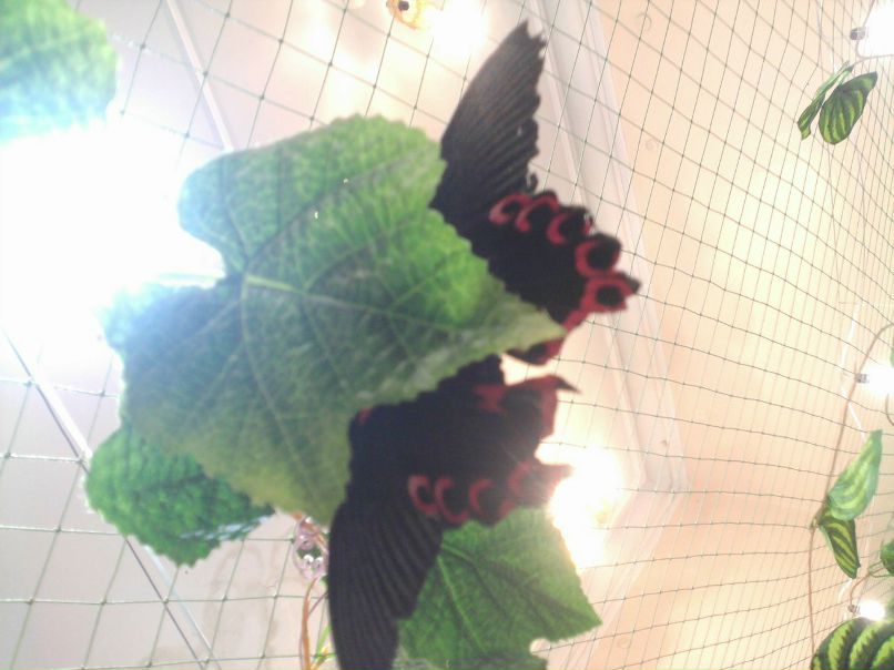 Катя Клименко фотография #16