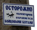 Андрій Паламар фотография #1