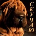 Лєрка Шпур фотография #2 (источник - https://vk.com/id164583269)