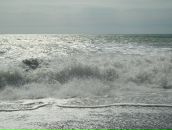 Фотография Атаманюк-Кречетовой Анастасии